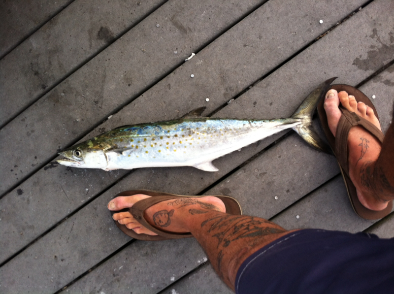 Pensacola Bay FL Fishing Reports, Map & Hot Spots