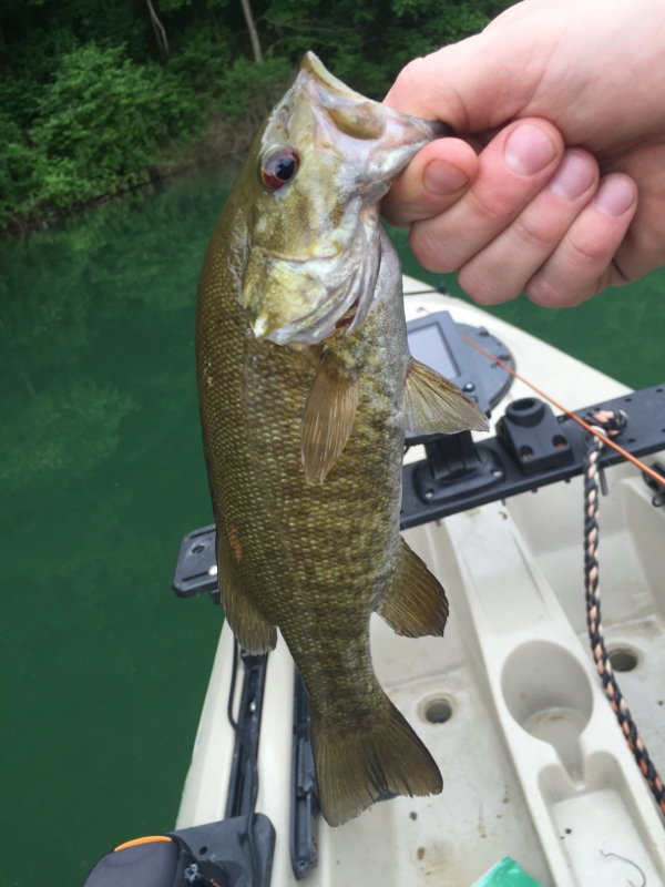 Jennings Randolph Lake MD Fishing Reports, Map & Hot Spots