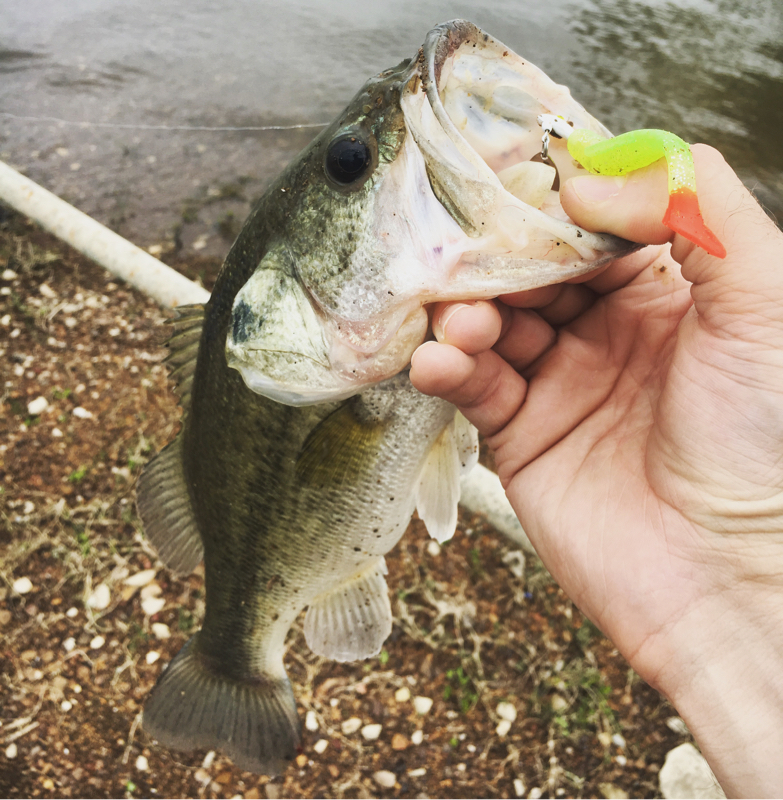 Grapevine Lake TX Fishing Reports, Map & Hot Spots