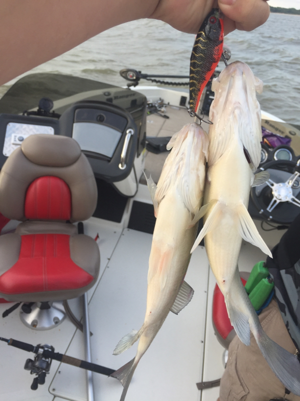 Rathbun Lake IA Fishing Reports, Map & Hot Spots