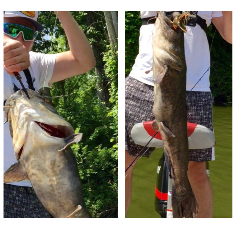 east-fork-lake-oh-fishing-reports-map-hot-spots