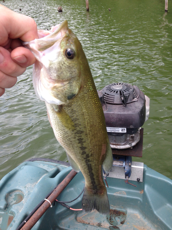 Stonewall Jackson Lake WV Fishing Reports, Map & Hot Spots