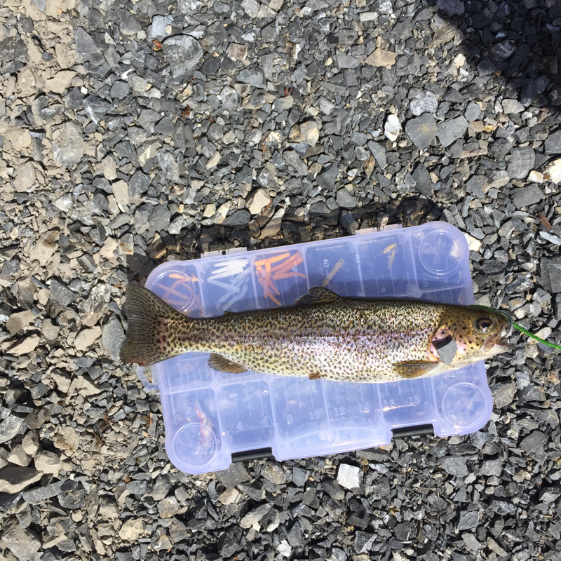 Little Juniata River PA Fishing Reports, Map & Hot Spots