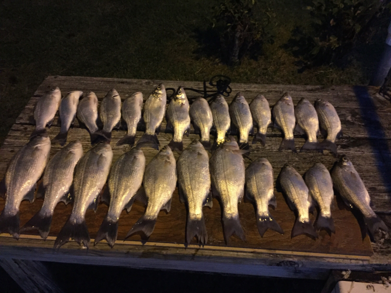 lake-livingston-tx-fishing-reports-map-hot-spots