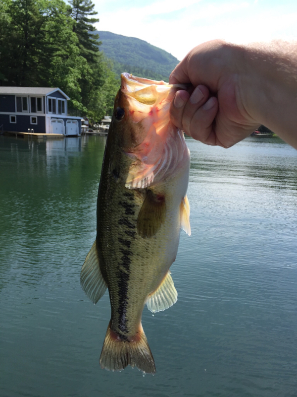 Lake NY Fishing Reports, Map & Hot Spots