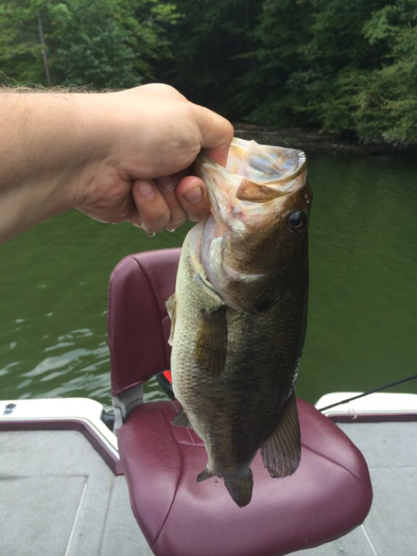 Lake Zoar CT Fishing Reports, Map & Hot Spots