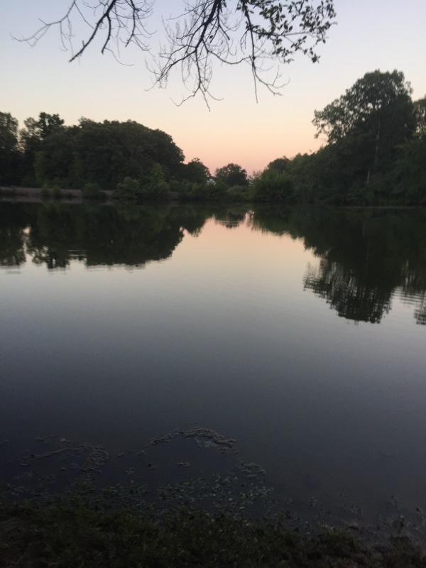 Rend Lake IL Fishing Reports, Map & Hot Spots