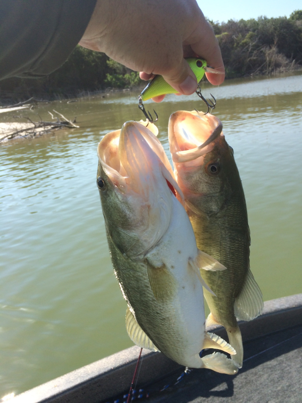 Lake Waco TX Fishing Reports, Map & Hot Spots