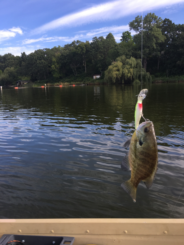 Swan Lake WI Fishing Reports, Map & Hot Spots