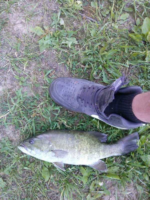 Lake Milton OH Fishing Reports, Map & Hot Spots