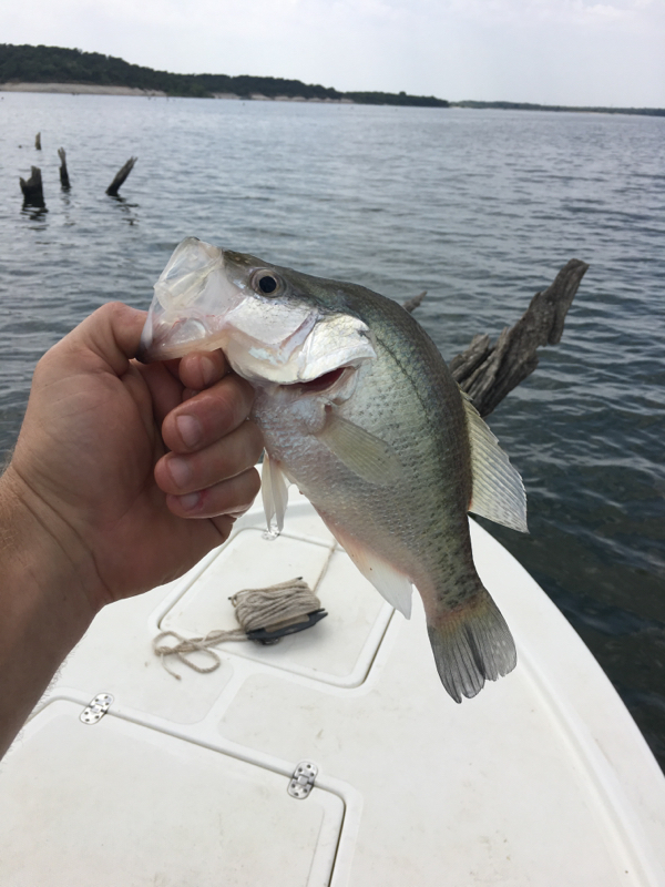 Benbrook Lake TX Fishing Reports, Map & Hot Spots