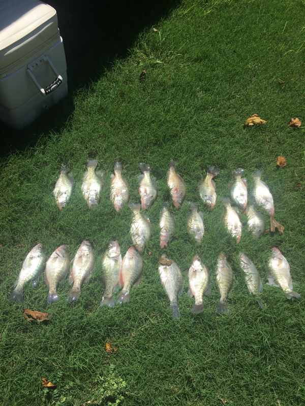 Benbrook Lake TX Fishing Reports, Map & Hot Spots