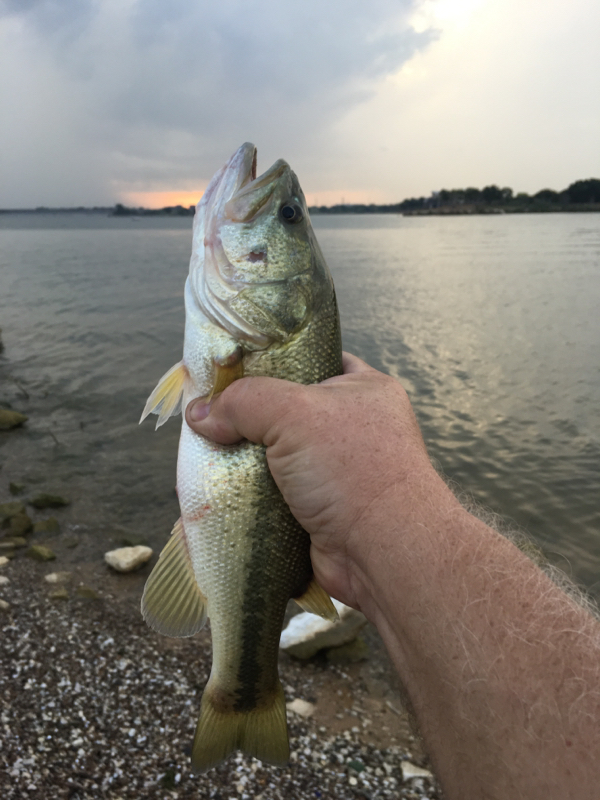 Grapevine Lake TX Fishing Reports Map Hot Spots