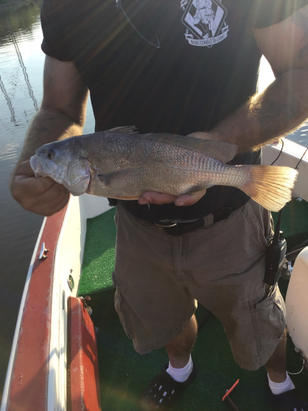 Rend Lake IL Fishing Reports, Map & Hot Spots