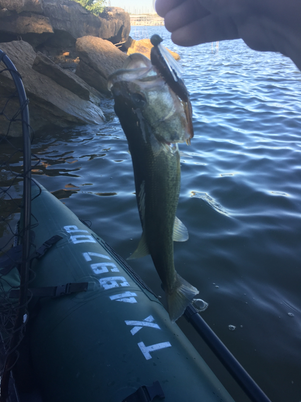 Grapevine Lake TX Fishing Reports Map Hot Spots