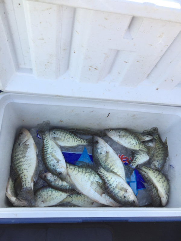 Eagle Creek Reservoir IN Fishing Reports, Map & Hot Spots